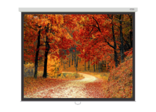 Brite Manual Screen MAS - 2121