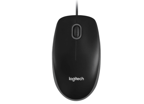 Logitech B100