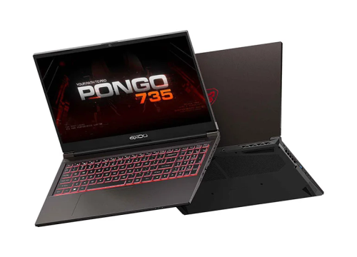 Axioo Pongo 735
